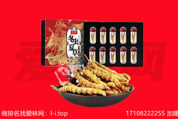 榆林市横山回收虫草.jpg